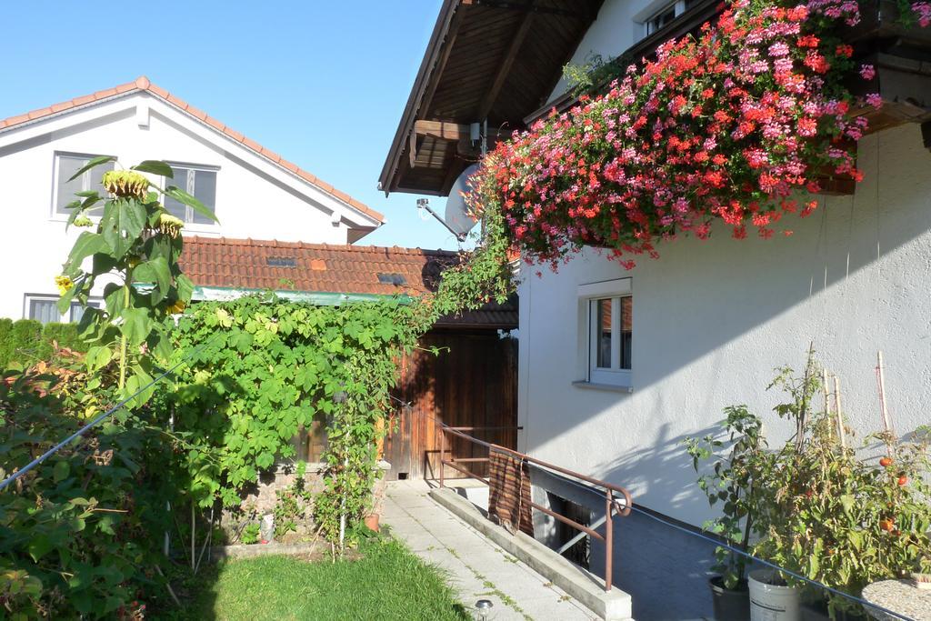 Alpenblick Apartment